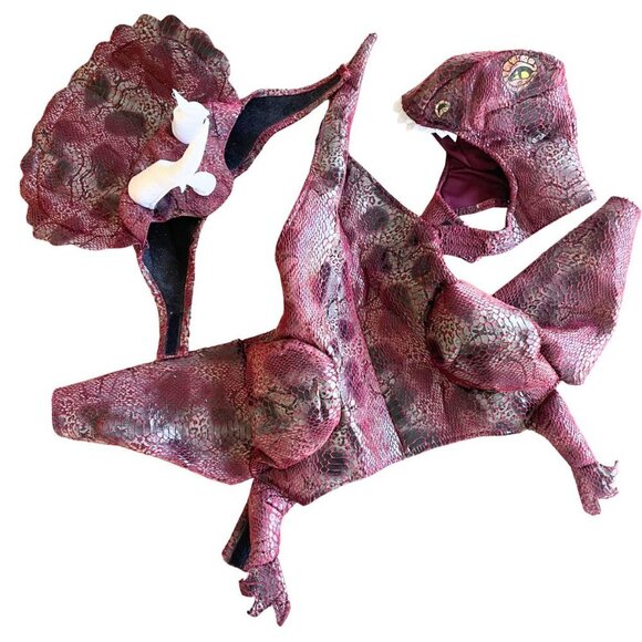 Animal Planet T-Rex & Triceratops Dino Dinosaur Dog Halloween Costume - Size Med - Picture 2 of 12